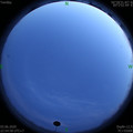 1591199712.jpg