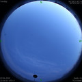 1591199772.jpg