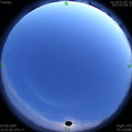 1591202488.jpg