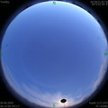 1591204544.jpg