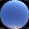 1591204604.jpg