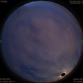 1591209992.jpg