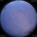 1591212168.jpg