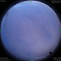 1591212288.jpg