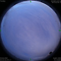 1591212348.jpg