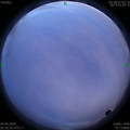 1591212408.jpg