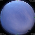 1591212468.jpg