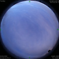 1591212528.jpg