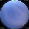 1591212708.jpg