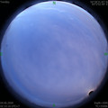 1591212828.jpg