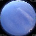 1591213339.jpg