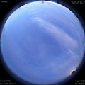 1591213459.jpg