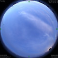 1591213519.jpg