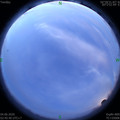 1591213579.jpg