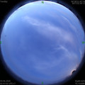 1591213654.jpg
