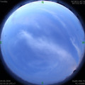 1591214164.jpg