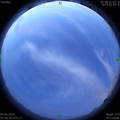 1591214239.jpg