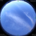 1591214419.jpg