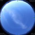1591215515.jpg