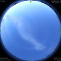 1591215575.jpg