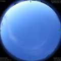 1591216055.jpg