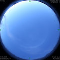 1591216115.jpg