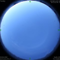 1591216881.jpg