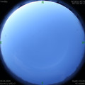1591217076.jpg