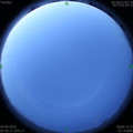 1591217136.jpg
