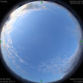 1591223304.jpg