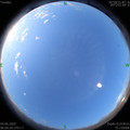 1591225240.jpg