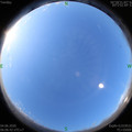 1591225615.jpg