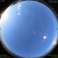 1591226005.jpg