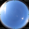 1591226380.jpg