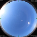 1591227146.jpg