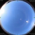 1591227536.jpg