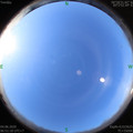 1591228286.jpg
