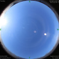 1591229442.jpg