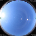 1591231348.jpg