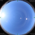 1591231738.jpg