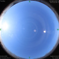 1591232113.jpg