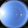 1591232503.jpg