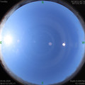 1591232893.jpg