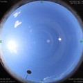 1591236345.jpg