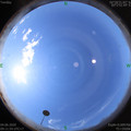 1591236735.jpg