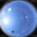 1591237111.jpg
