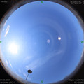 1591237501.jpg