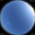 1591278516.jpg