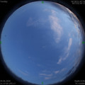 1591281442.jpg