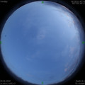 1591282223.jpg